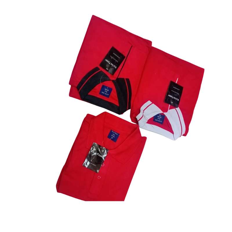 Premium Polo T-Shirt for men