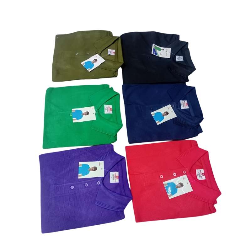 Premium Polo T-Shirt for men