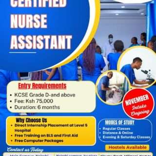 Satech Training College