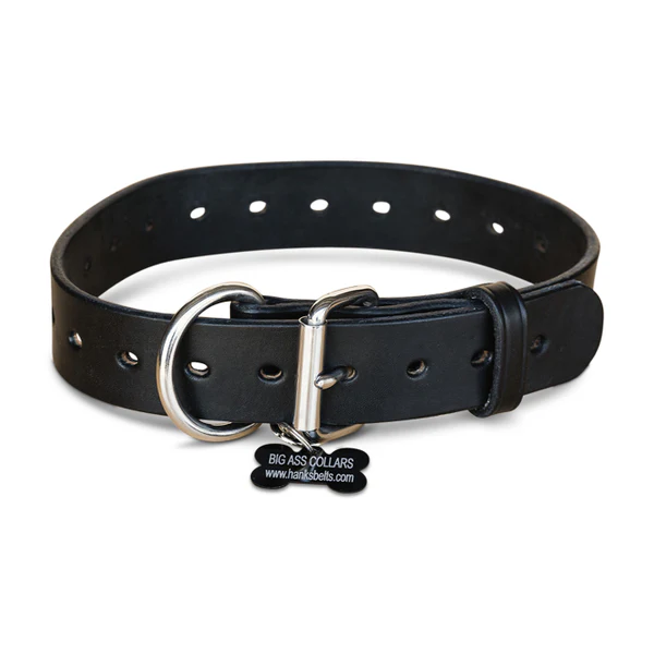 SET DOG COLLAR - Image 4