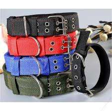 SET DOG COLLAR - Image 3